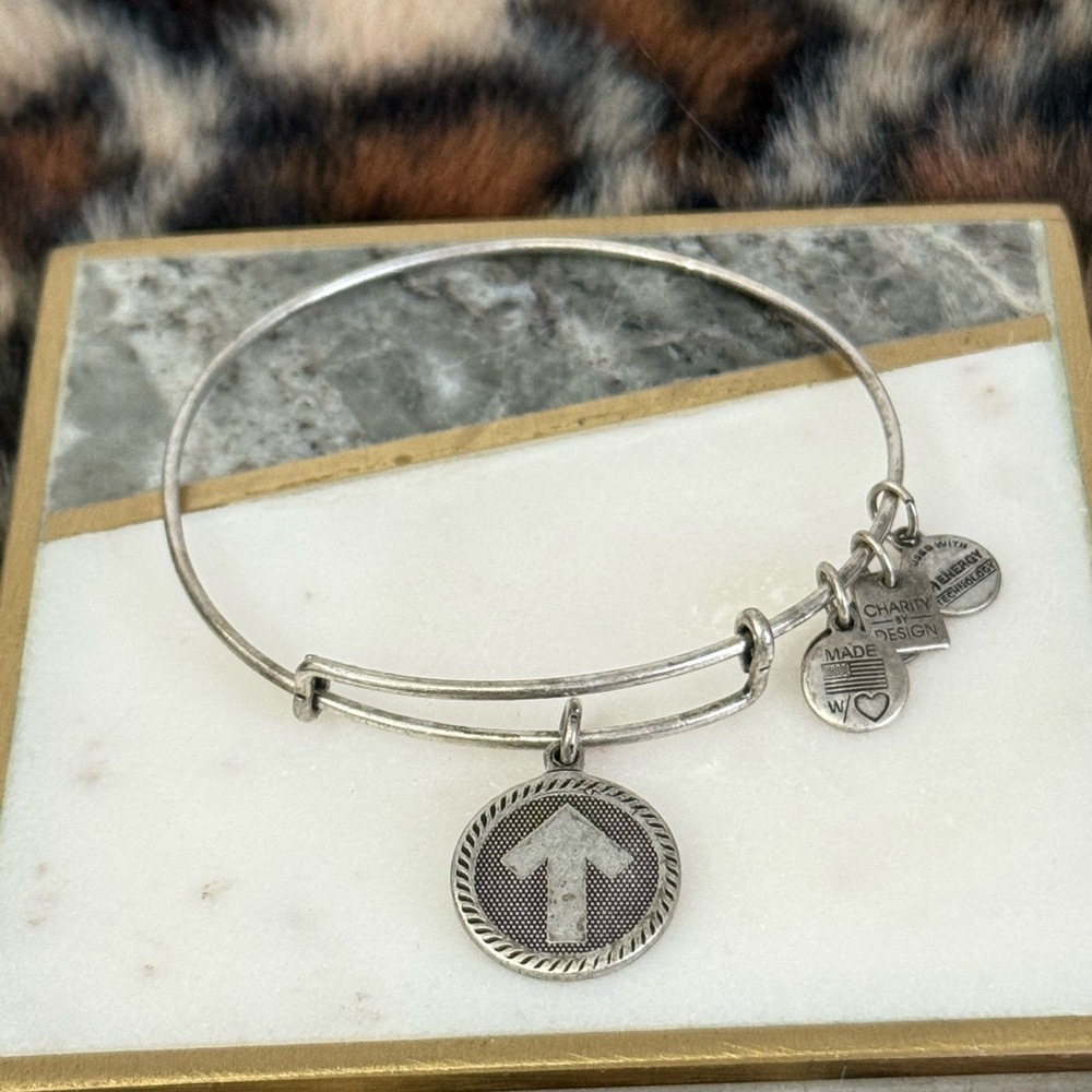Alex and Ani Women's Charity By Design Stand Up to Cancer Bracelet 🎗️❤️ (2012)